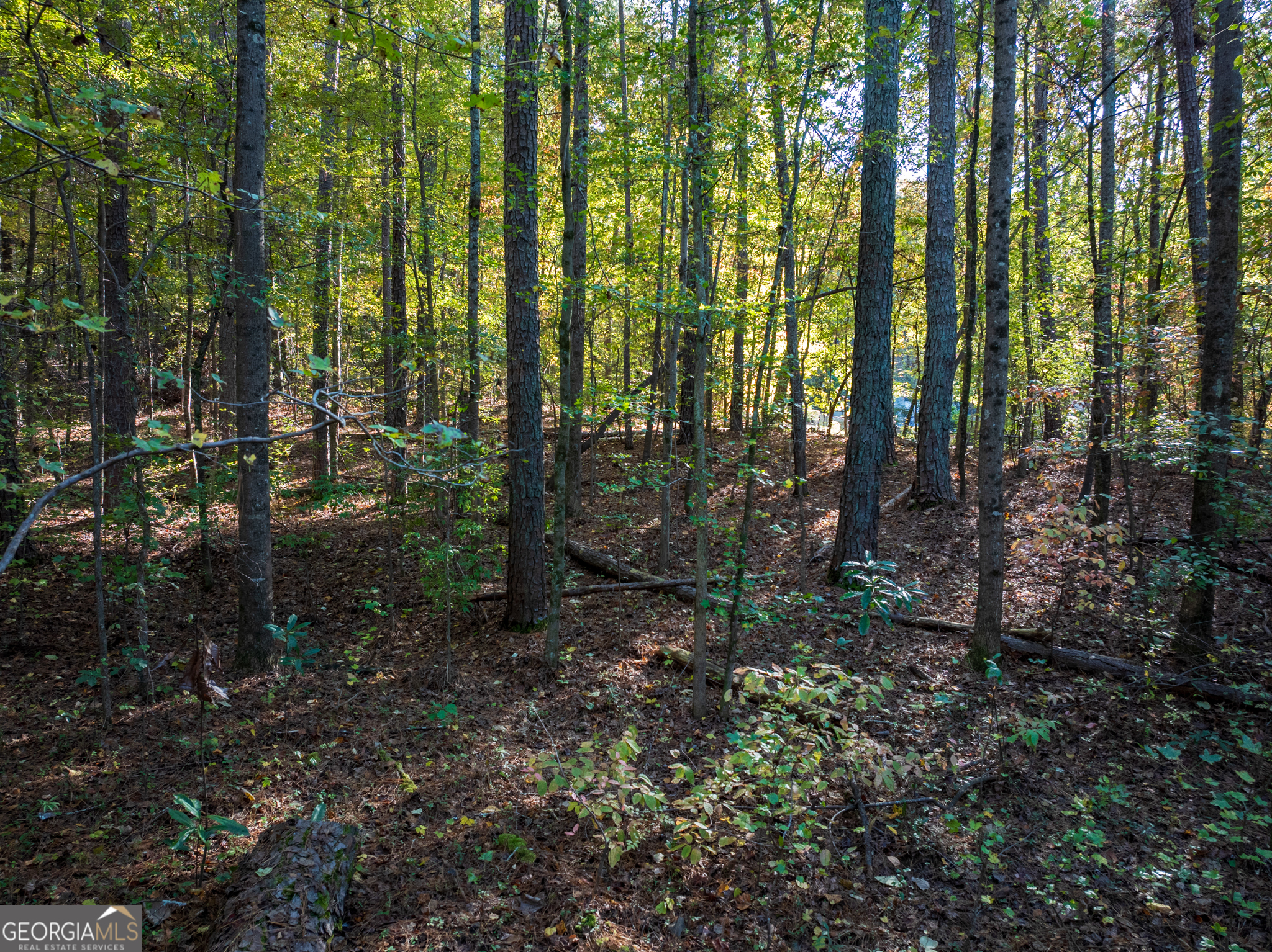 9.52 Acres - Land
