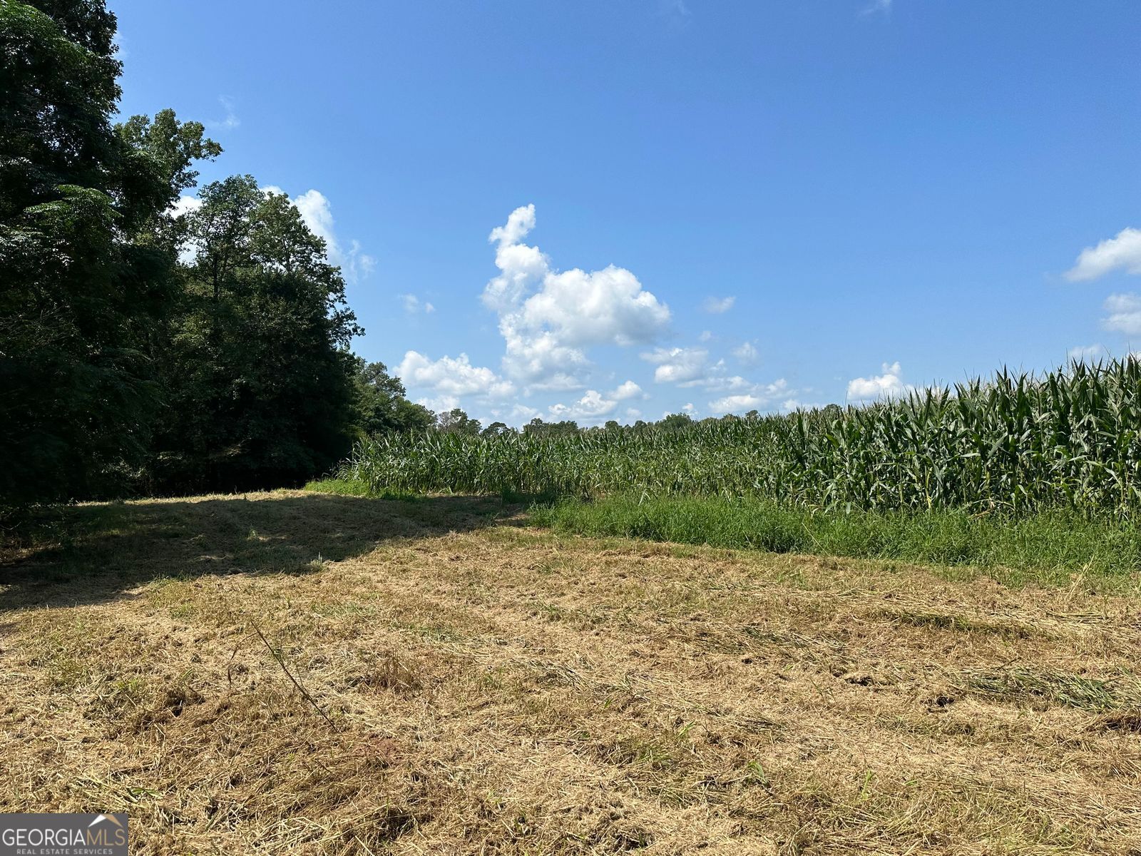 100AC Twin Bridges RD