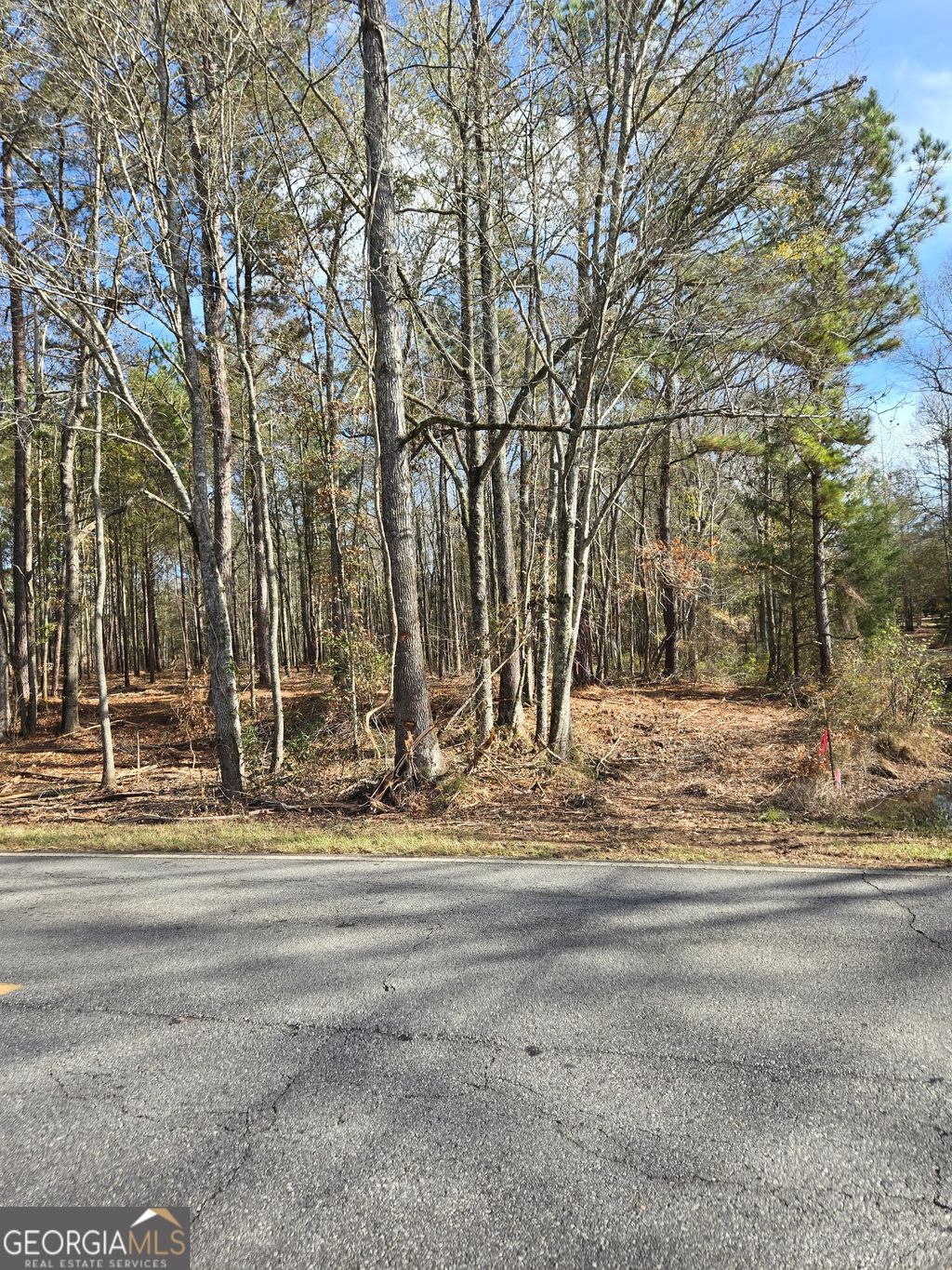 Photo of 0 Yatesville Road, Barnesville, GA 30204 (MLS # 10650403)
