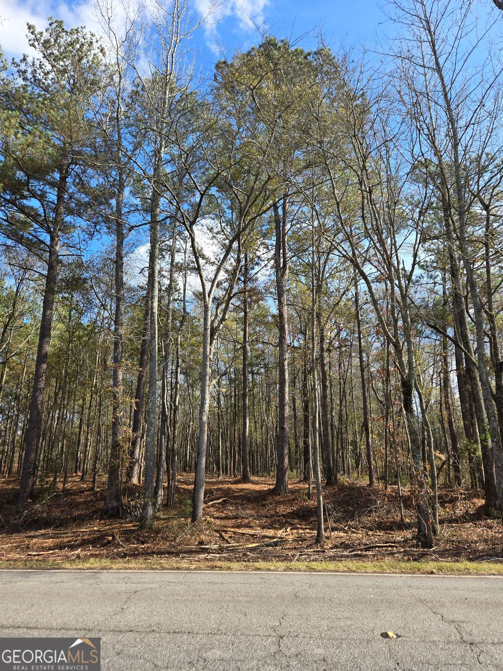 Photo of 0 Yatesville Road, Barnesville, GA 30204 (MLS # 10650403)