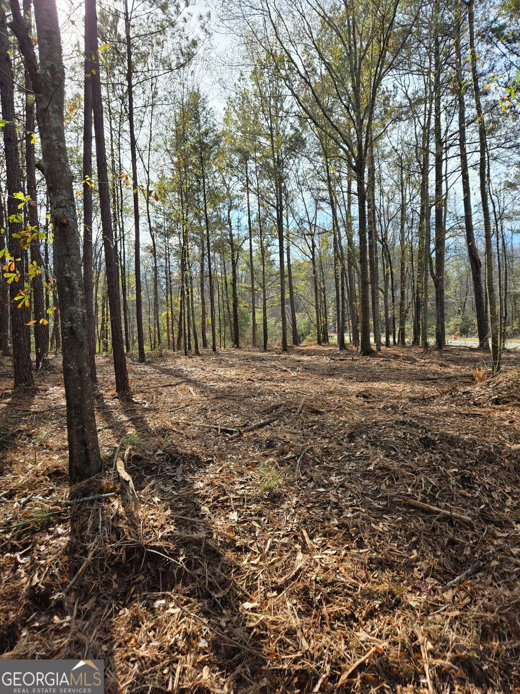 Photo of 0 Yatesville Road, Barnesville, GA 30204 (MLS # 10650403)