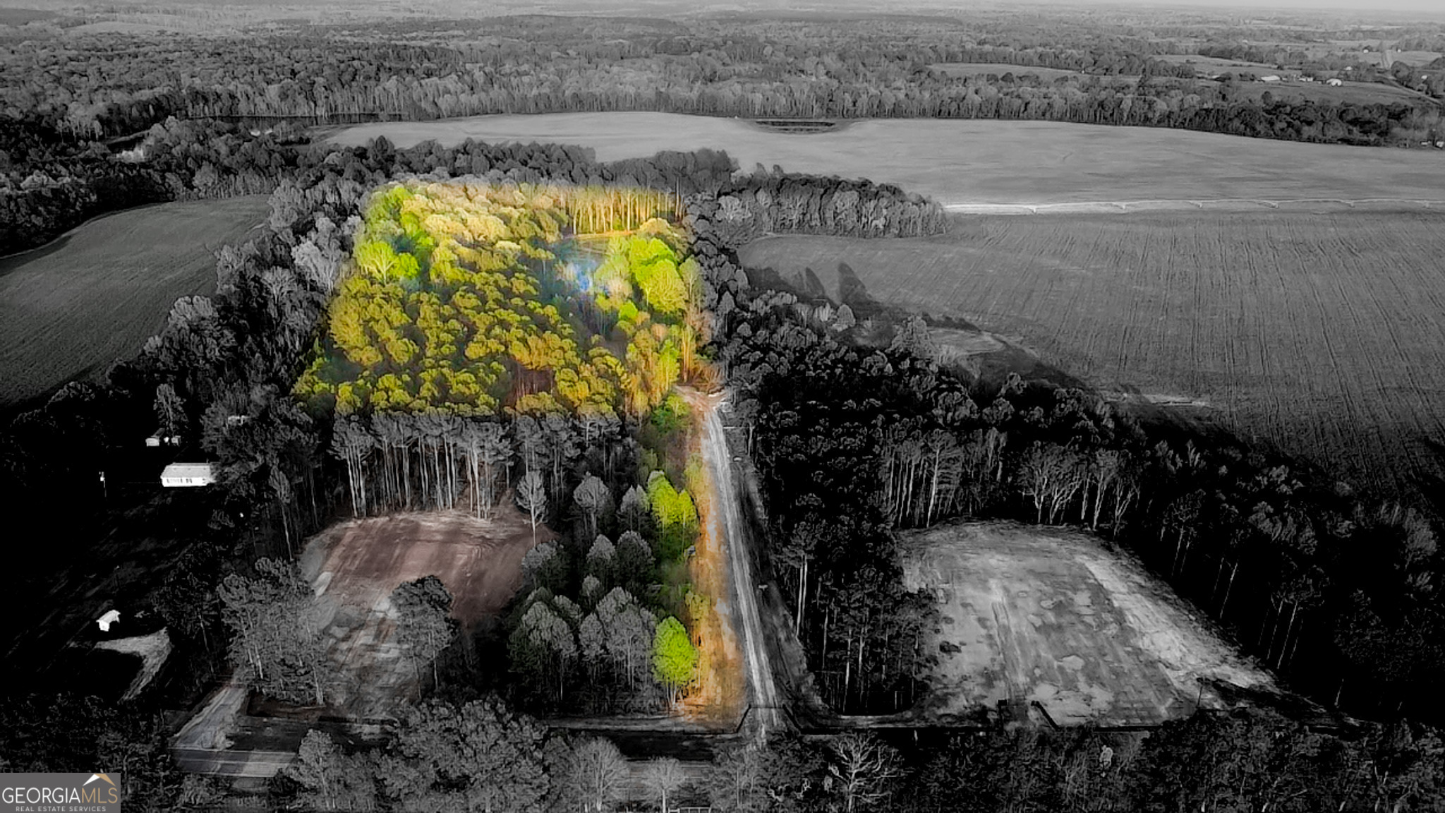 Come take a look at this 10 acre tract of land with a pond that is ready for you to build your dream home. A driveway has been cut in taking you back to your private retreat. This parcel would be great for a farmhouse style or the perfect spot for a modern barndominium. The adjacent 10 acres is available as well.