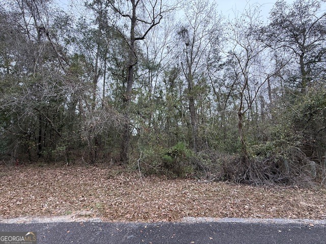 V/L 40 Satilla River Landing