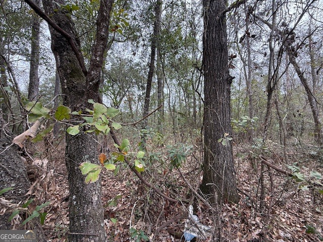 V/L 40 Satilla River Landing