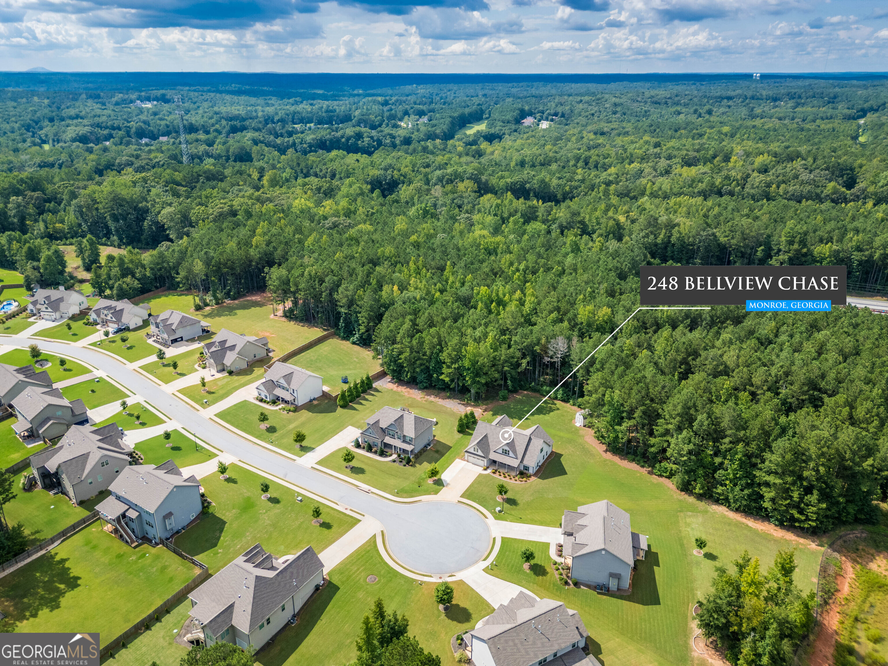 248 Bellview Chase