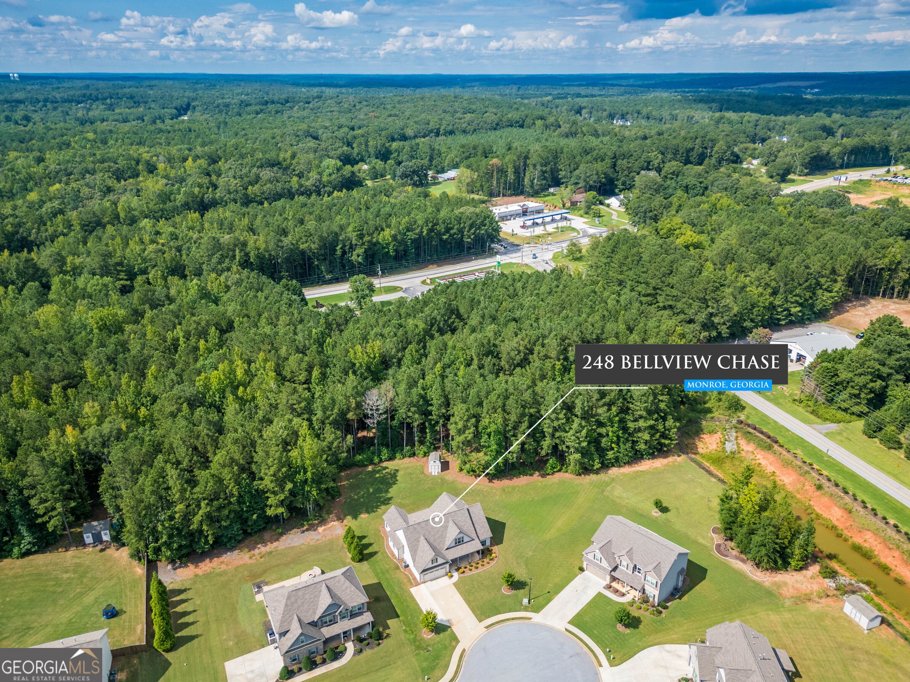 248 Bellview Chase