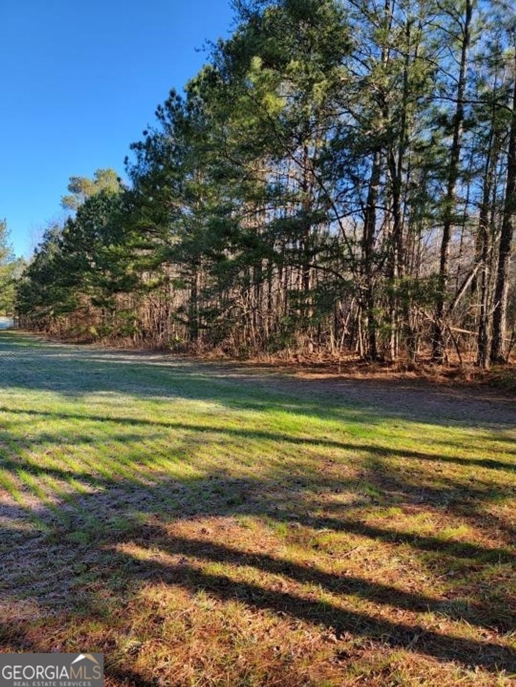 Photo of 0 Mansfield Road, White, GA 30184 (MLS # 20168650)