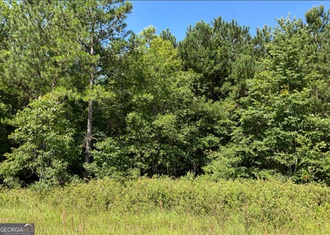 Photo of 0 High Crest Lane, Hawkinsville, GA 31036 (MLS # 10869745)
