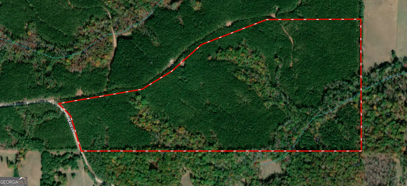 Discover this well-located 99.58+/- acre timber and recreational tract in the heart of Heard County. The property features gently rolling topography accented by a bold, year-round creek that enhances both its natural beauty and usability. Nearly one-third of the acreage is comprised of mature hardwoods, providing excellent wildlife habitat, natural diversity, and a setting ideal for hunting and outdoor recreation. The balance of the tract is a thriving loblolly pine plantation that has been recently thinned, setting the stage for accelerated timber growth and long-term investment potential. Surrounded by well-maintained farms and homesteads, this property offers privacy, tranquility, and an authentic rural atmosphere. Its central location allows convenient access to Carrollton, Newnan, and surrounding communities, making it equally suitable as a recreational retreat, timber investment, or future homestead site.