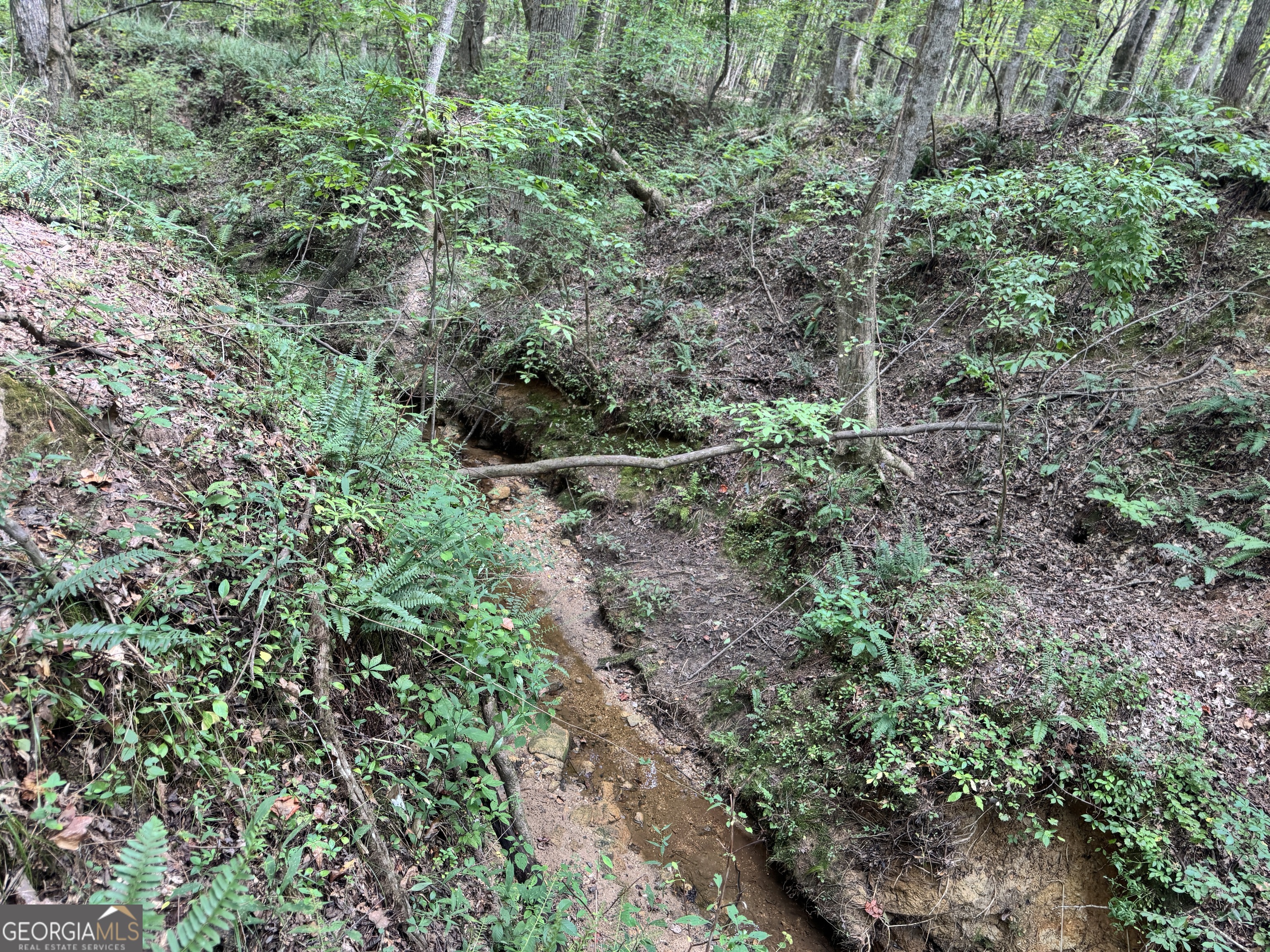 99.58 +/- AC Peace LN