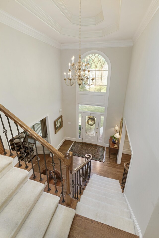 Amberfield - Residential