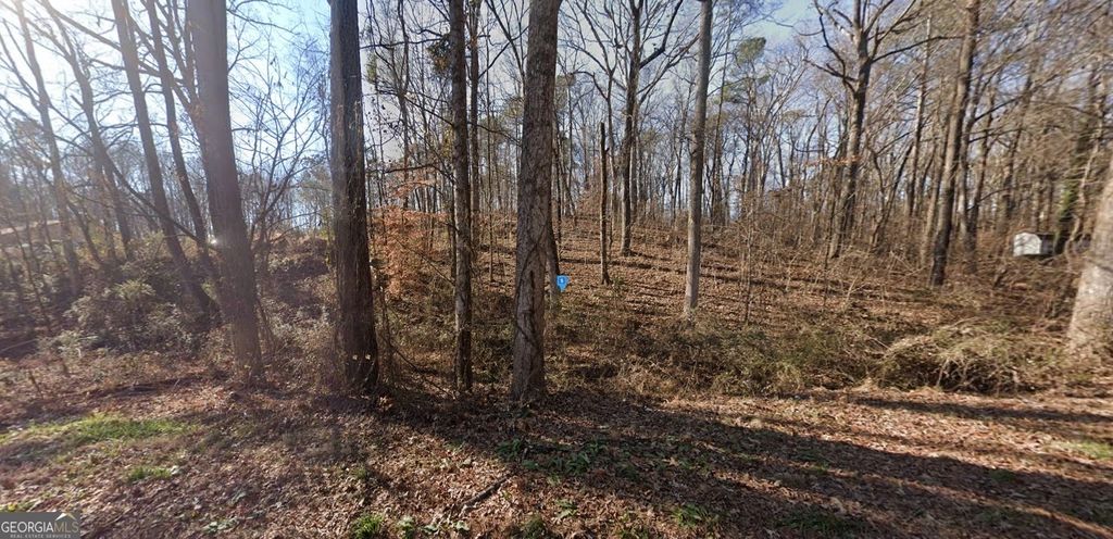 Photo of 2645 Whisper Trail, Douglasville, GA 30135 (MLS # 10652541)