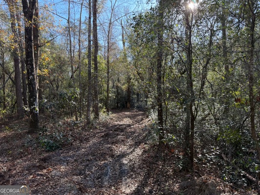 3833 OLD LOUISVILLE RD, GUYTON, GA 31312 - Image ba7f52337e2eedfb659db00ca34ed847/1263422168