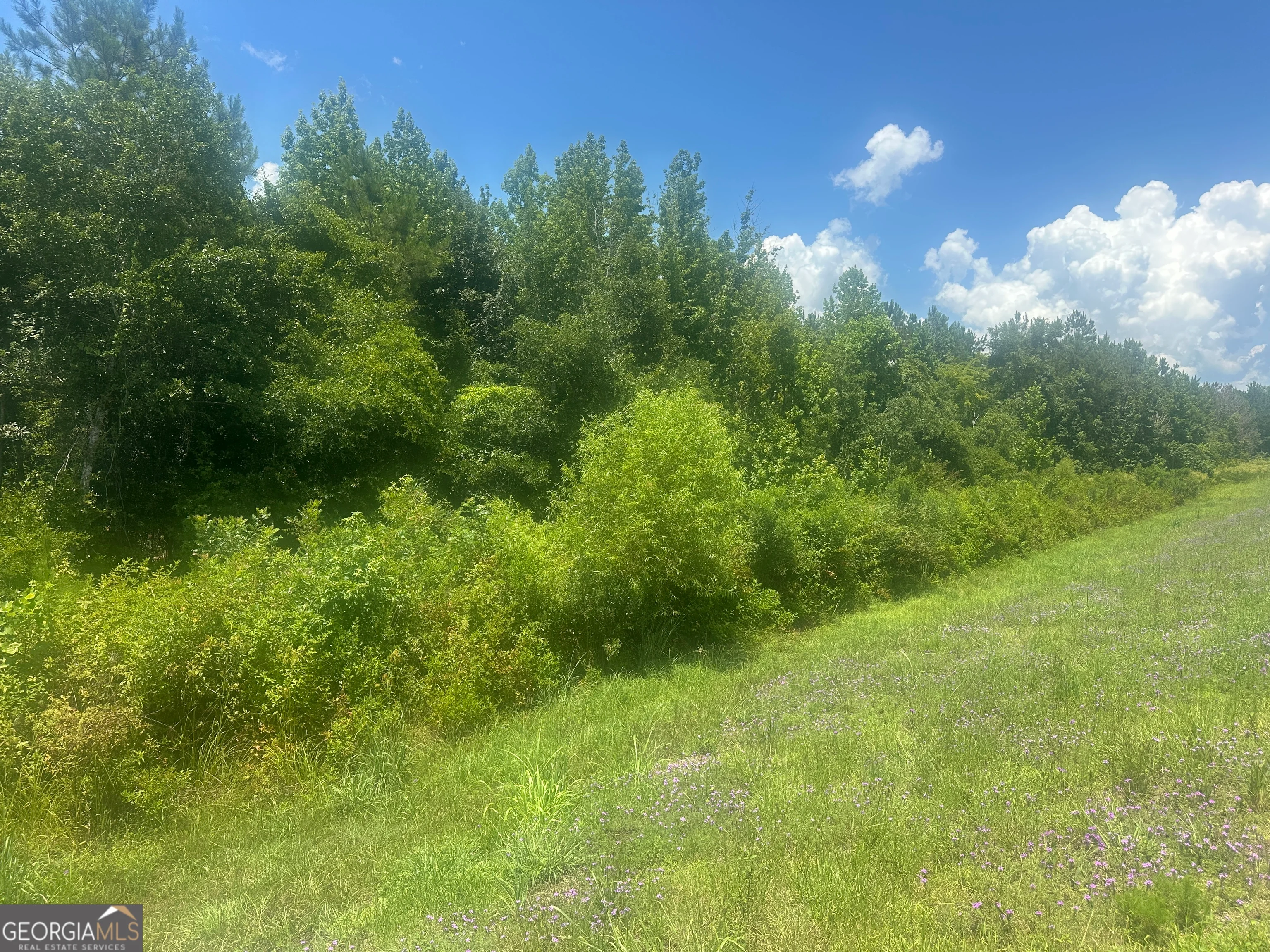 1475 Old Us Hwy Highway 1, Wadley, GA, 30477