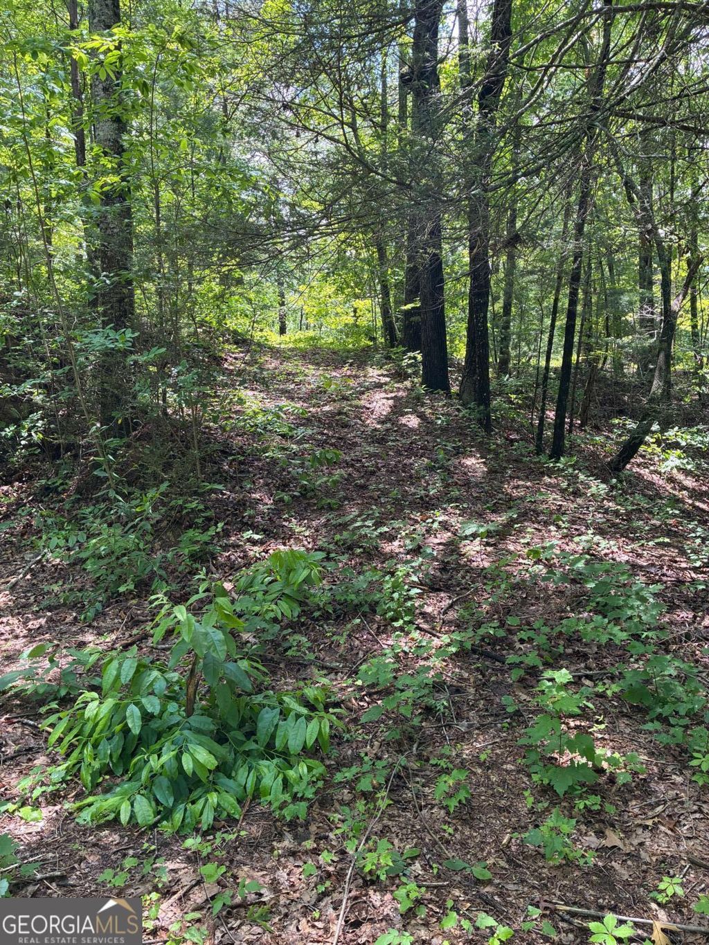 Photo of 6667 Lynx Court #66 67, Ellijay, GA 30540 (MLS # 10772911)