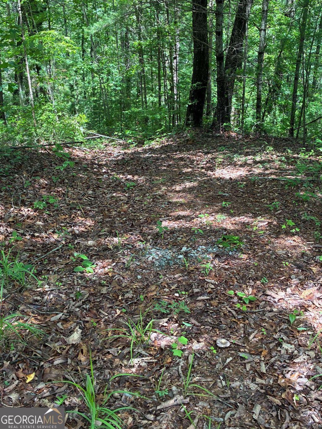 Photo of 6667 Lynx Court #66 67, Ellijay, GA 30540 (MLS # 10772911)