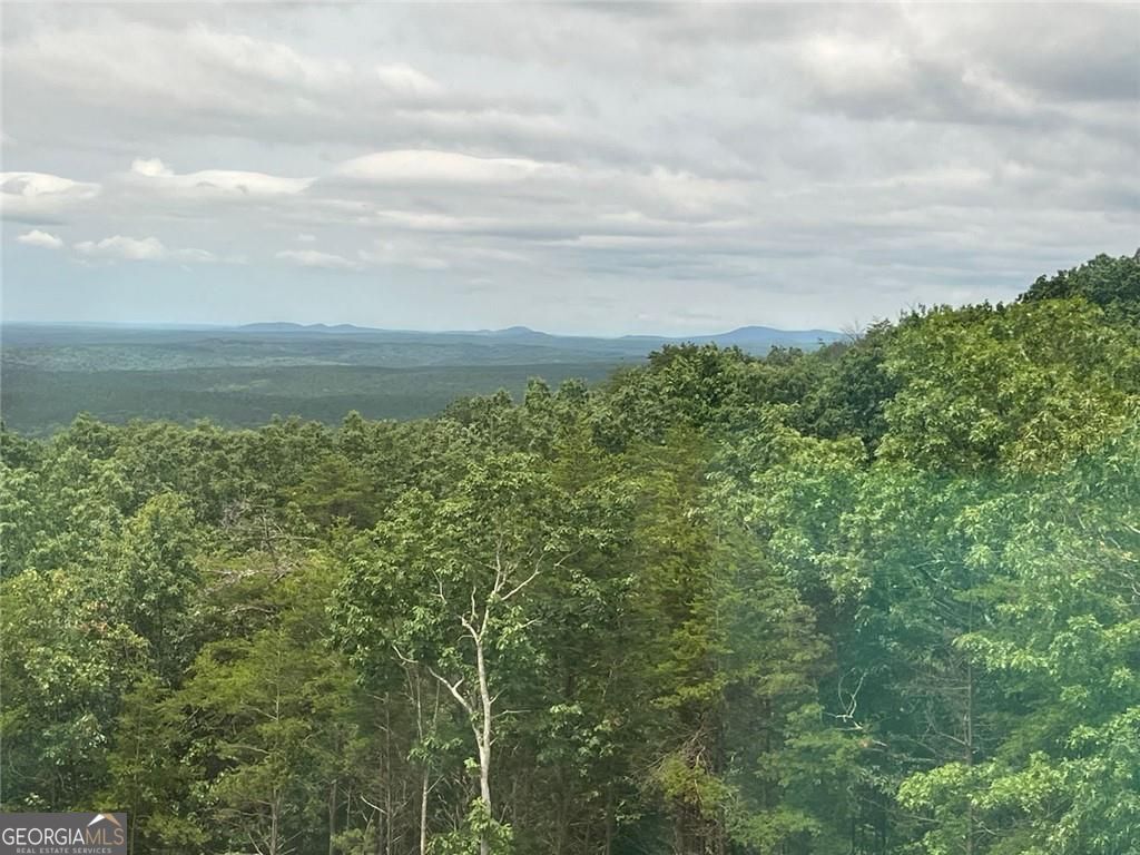 235 Laurel Vista DR