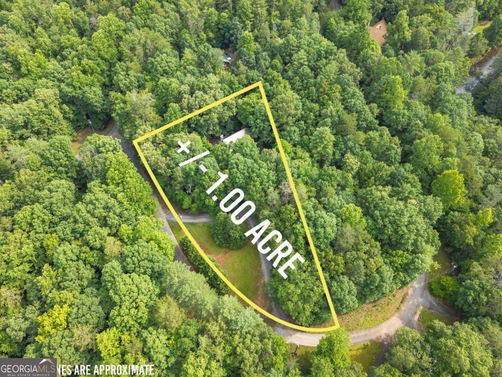 Photo of 318 Horseshoe Lane, Dahlonega, GA 30533 (MLS # 10794452)