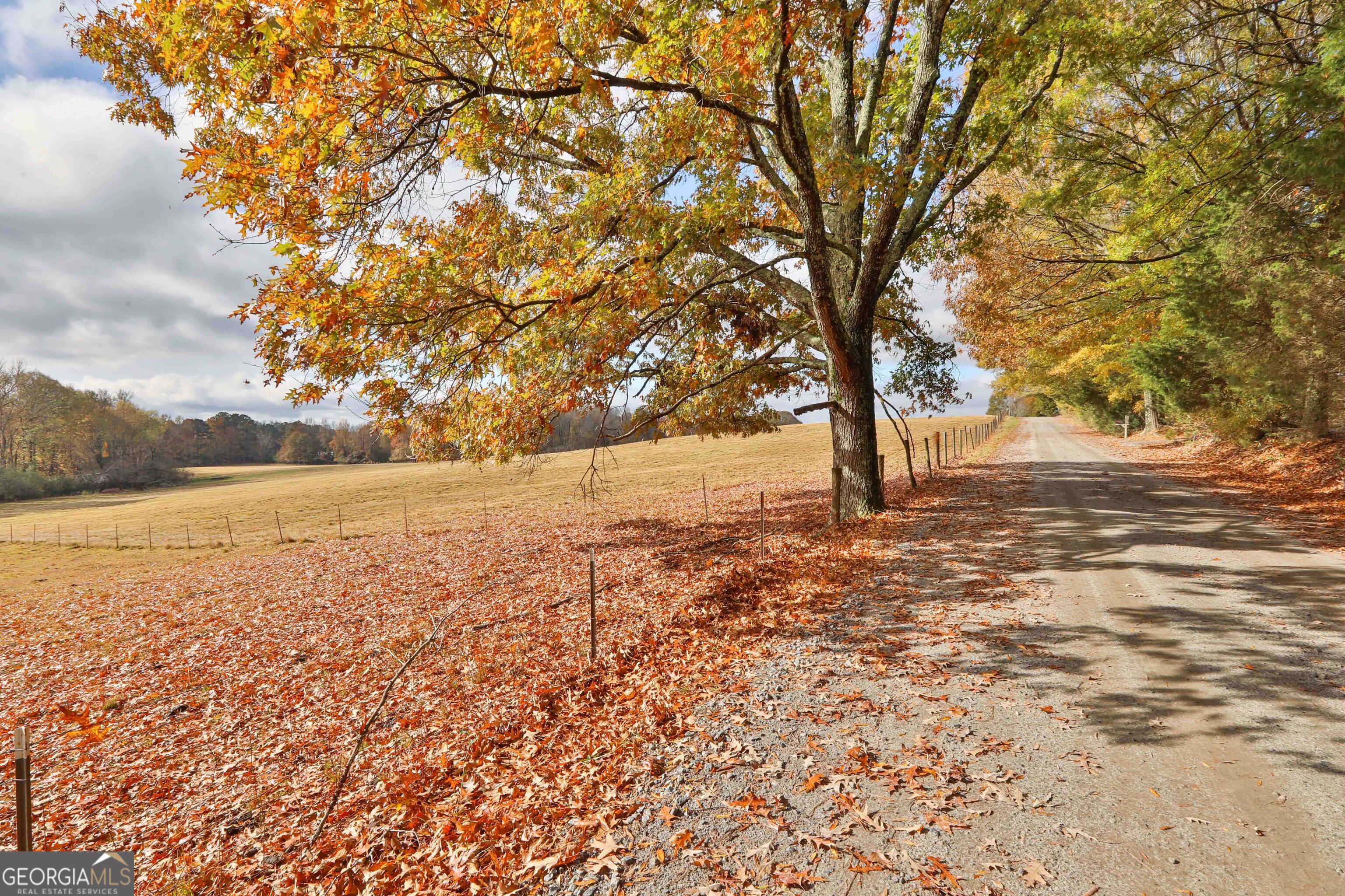 LOT 2 Mask Road - Hanner's Farm South
