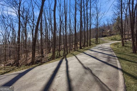 253 Windflower DR Big Canoe GA 30143