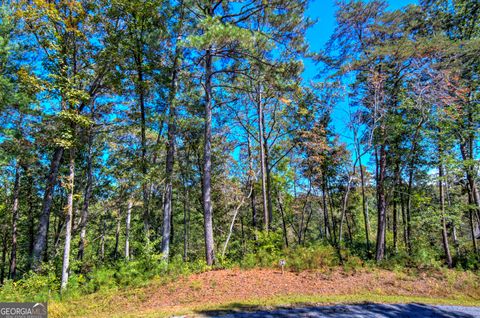 Photo of 34 Hilton Drive, Ellijay, GA 30540 (MLS # 10614270)