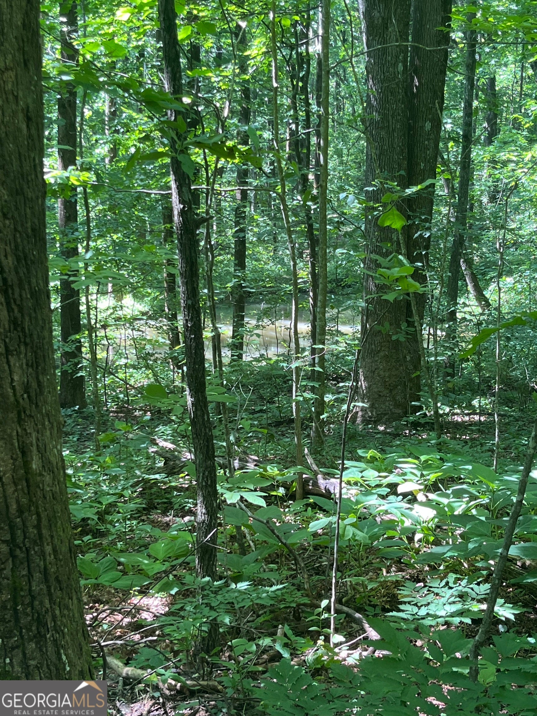 0 Monument RD