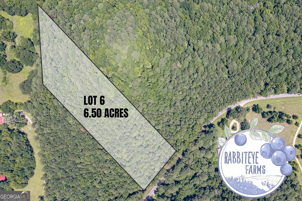LOT 6 Haynes RD