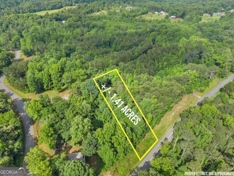 Photo of 0 Yellow Creek Road, Murrayville, GA 30564 (MLS # 10777930)