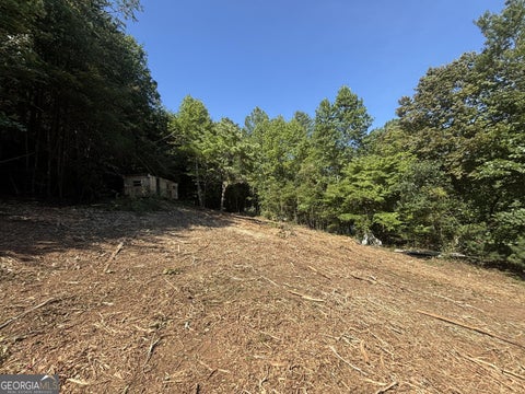 Photo of 1565 Davis Road, Hiawassee, GA 30546 (MLS # 10840518)