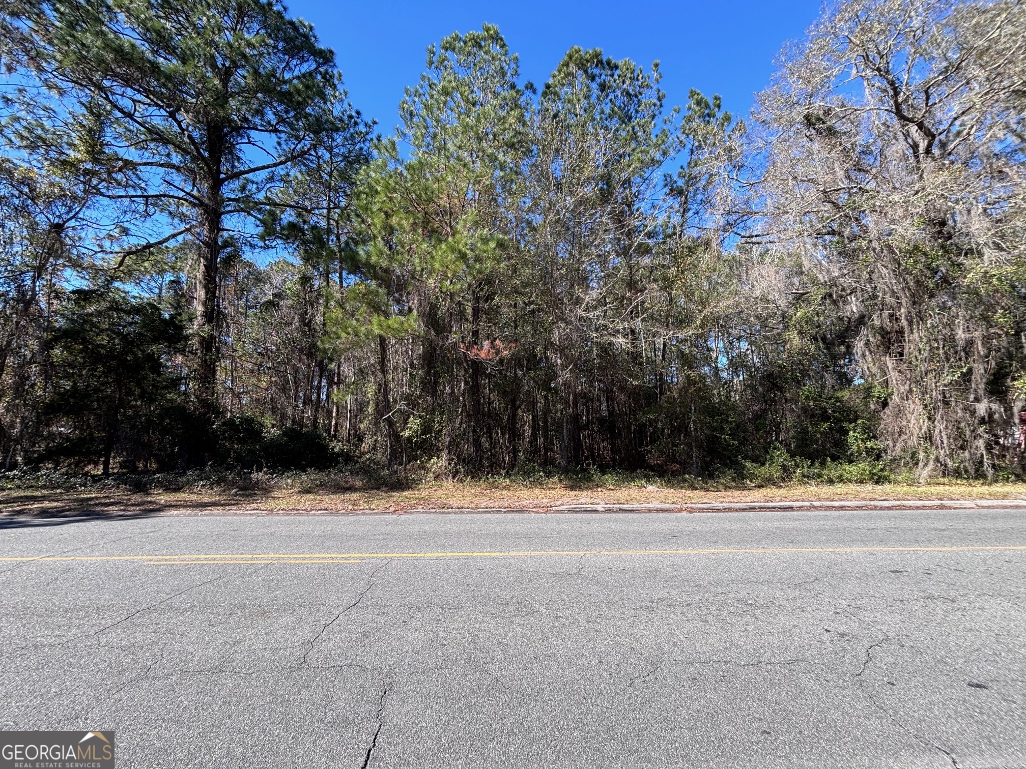 0 Martin Luther King Jr