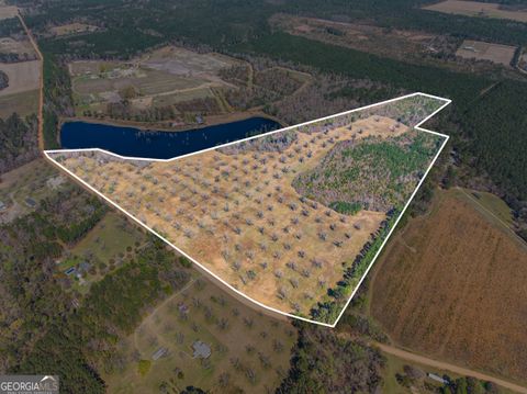 Photo of 0 Cleary Road, Brooklet, GA 30415 (MLS # 10714894)