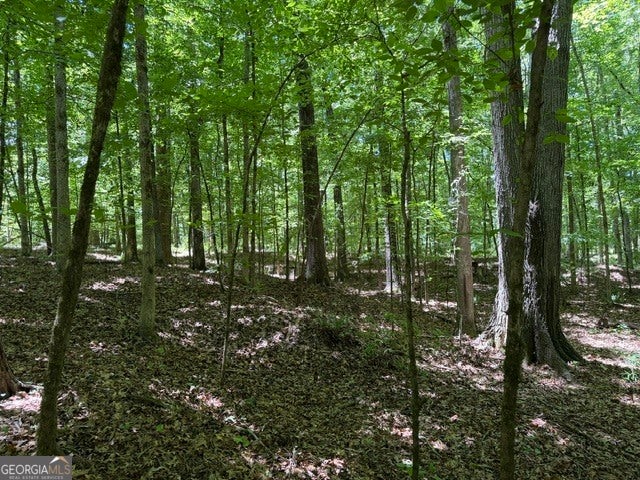 Photo of 541 S Steel Bridge Road, Eatonton, GA 31024 (MLS # 10778767)