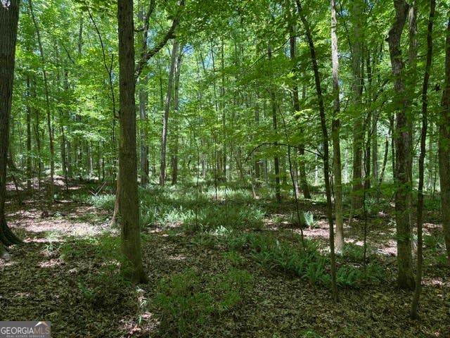 Photo of 541 S Steel Bridge Road, Eatonton, GA 31024 (MLS # 10778767)