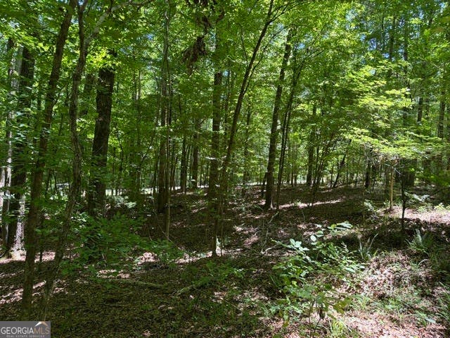 Photo of 541 S Steel Bridge Road, Eatonton, GA 31024 (MLS # 10778767)