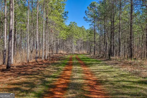 Photo of TBD Old Zebulon Road, Forsyth, GA 31029 (MLS # 10697483)