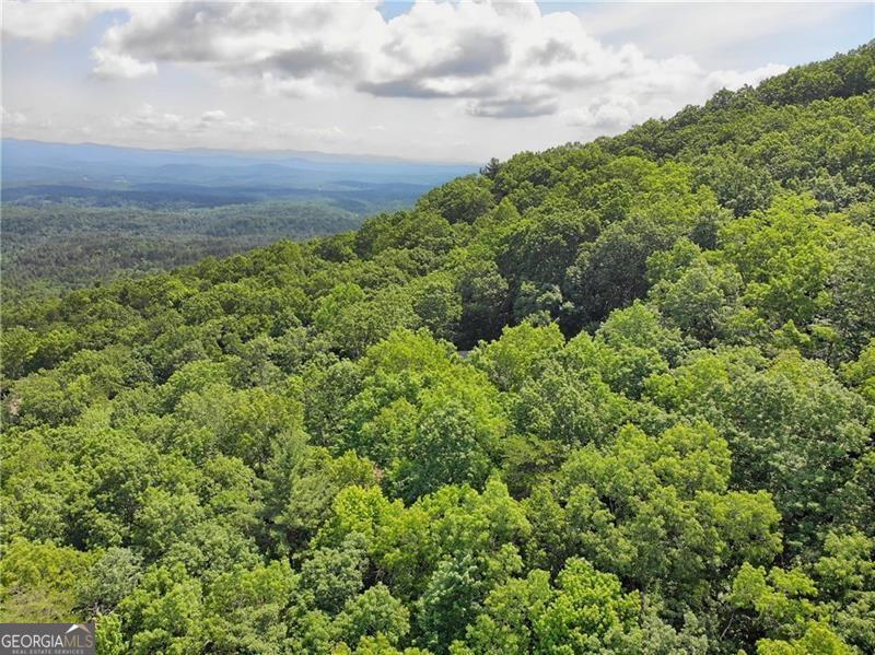 Photo of 3023 Wild Turkey Bluff, Big Canoe, GA 30143 (MLS # 10230976)