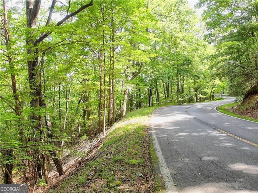 Photo of 3023 Wild Turkey Bluff, Big Canoe, GA 30143 (MLS # 10230976)