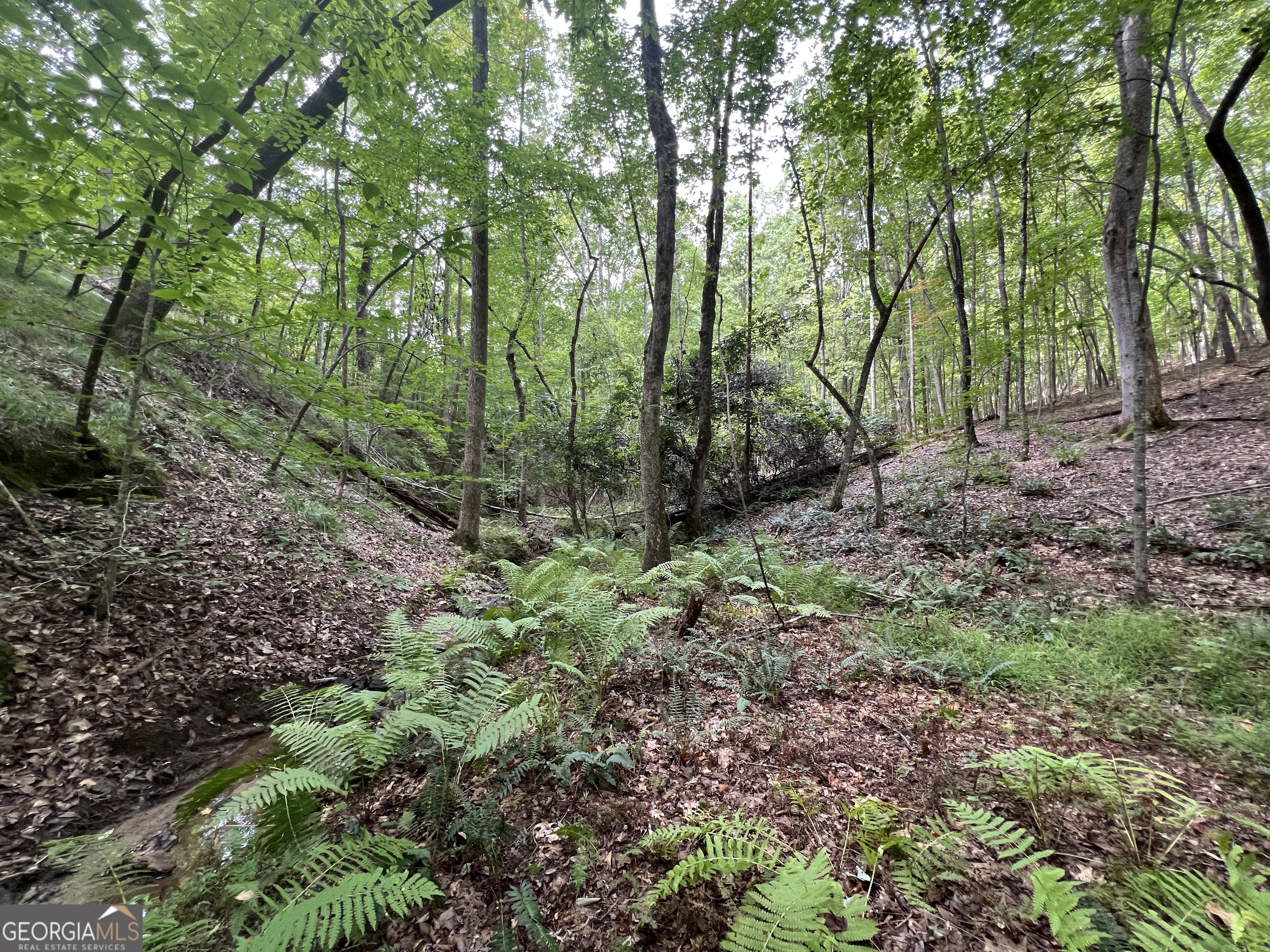 0 Vinson Mountain RD