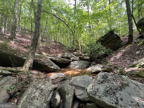 Photo of 0 Vinson Mountain Road, Rockmart, GA 30153 (MLS # 10622561)