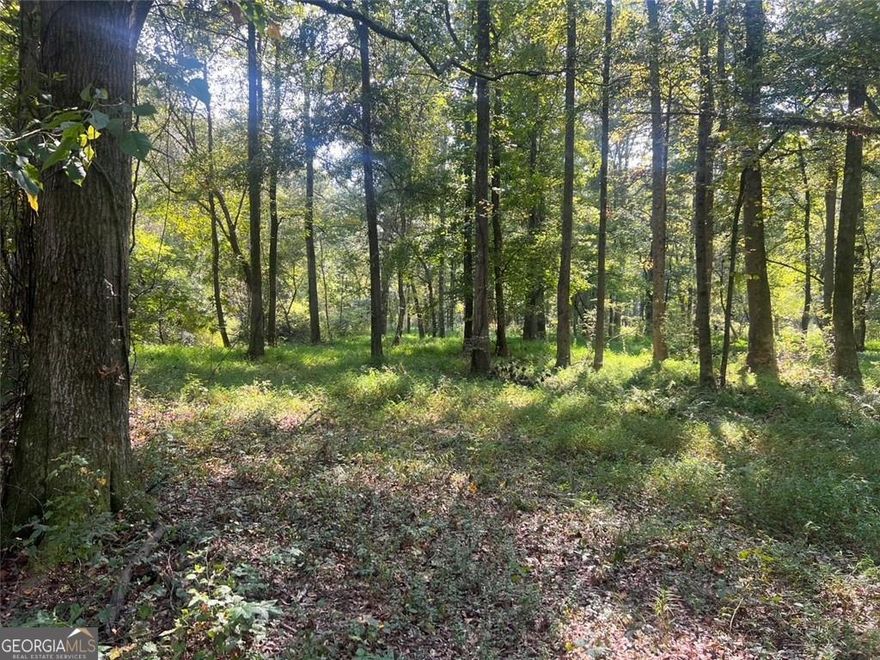 Discover 10.14 acres of pristine land in the heart of Marietta, beautifully bordered by Ollie Creek. This rare property offers a prime location just minutes from Truist Park, The Battery, and I-75, blending convenience with natural serenity. For the discerning buyer, it's the perfect canvas to design and build a custom estate home with the ambiance of a private, wooded retreat teeming with wildlife. For local builders or developers, the acreage provides an exceptional opportunity to create a thoughtfully planned, boutique community with excellent access to Atlanta's major corridors, shopping, dining, and entertainment. With its combination of privacy, beauty, and convenience, this property offers unlimited potential for the right vision.