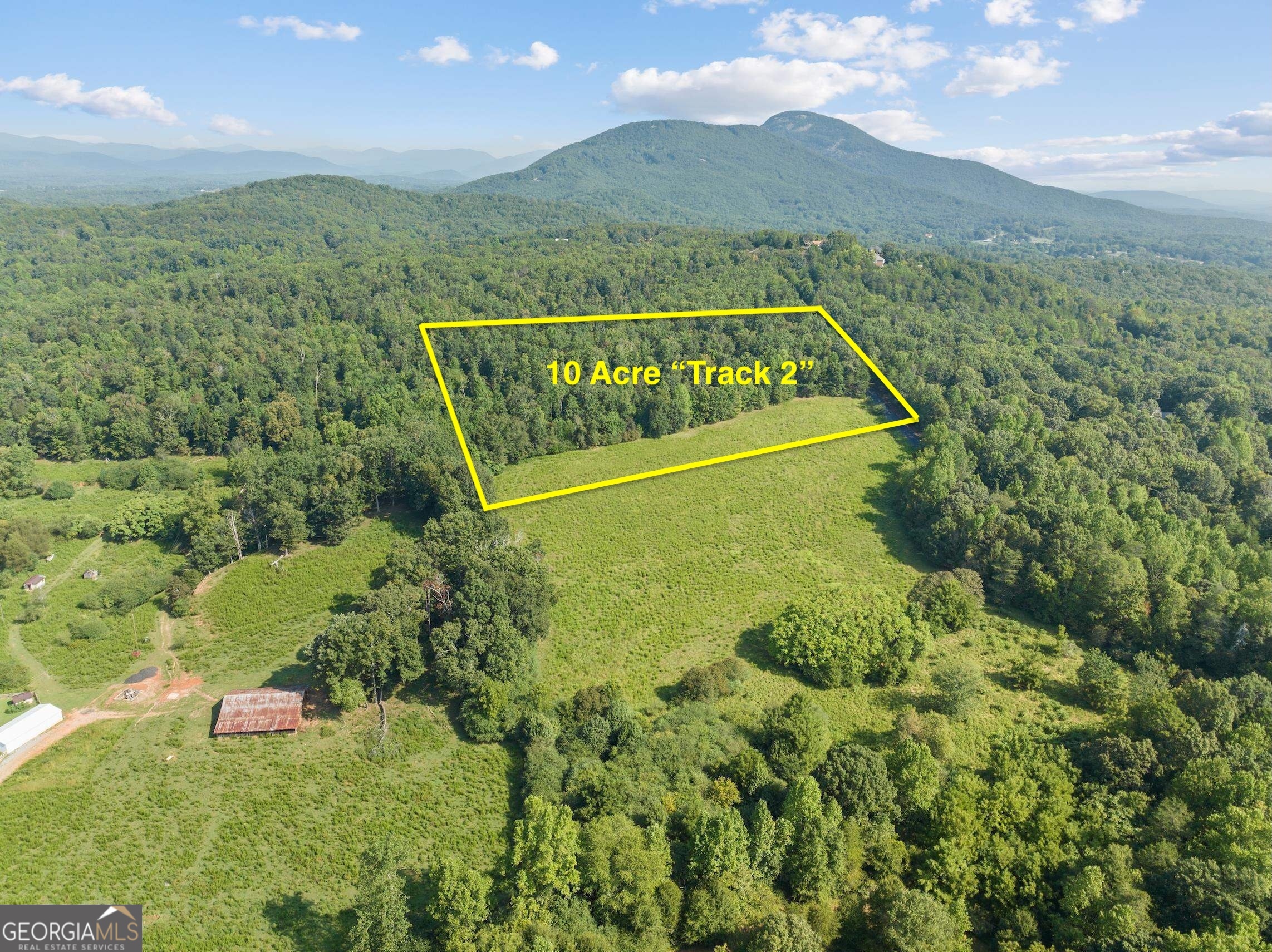 This rolling 10 acres which offers an abundance of possibilities. Entertainment, Food, Shopping are all within a short distance of 3 mile and you are just 20 minutes from Helen. This is a beautiful Estate Lot with spectacular mountain views, open pastures for cows and horses, wild blue berries, nut trees and an abundance of wildlife. A small spring trickles on the back of the property. And there are several great elevations to choose from when laying out your building site.
