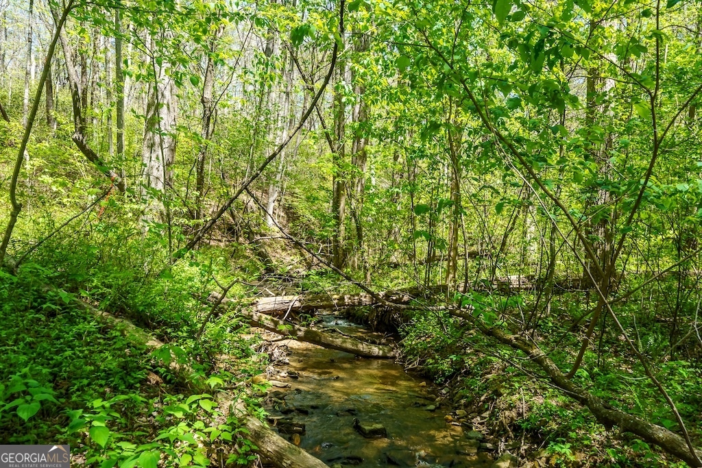 0000 Burnt Mountain RD