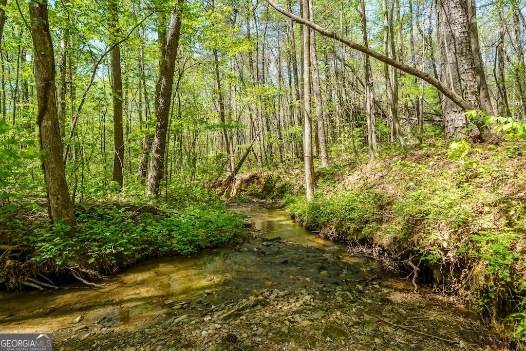 0000 Burnt Mountain RD