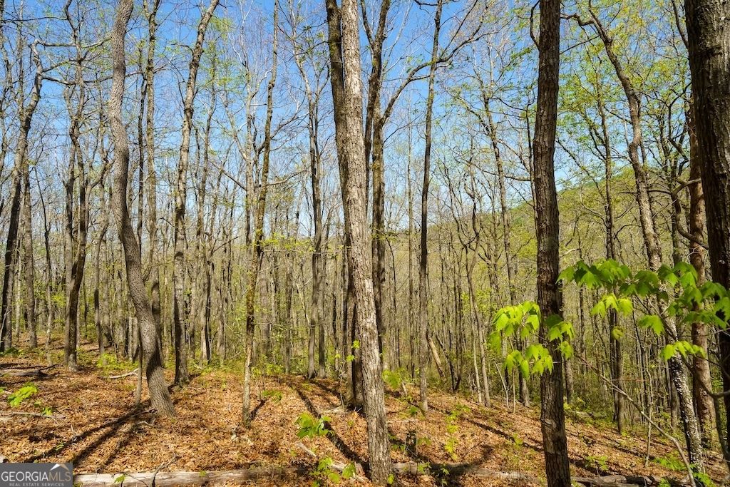Photo of 0000 Burnt Mountain Road, Ellijay, GA 30536 (MLS # 10736953)