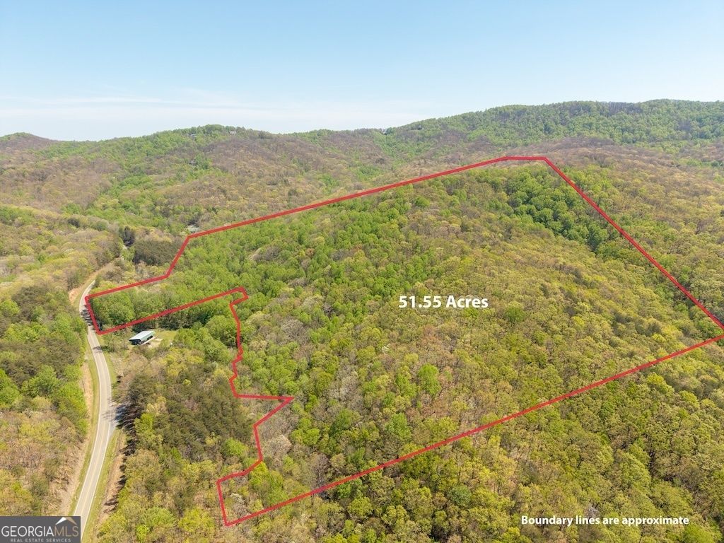 Photo of 0000 Burnt Mountain Road, Ellijay, GA 30536 (MLS # 10736953)