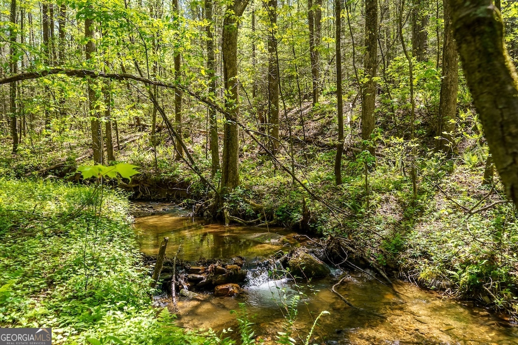 0000 Burnt Mountain RD