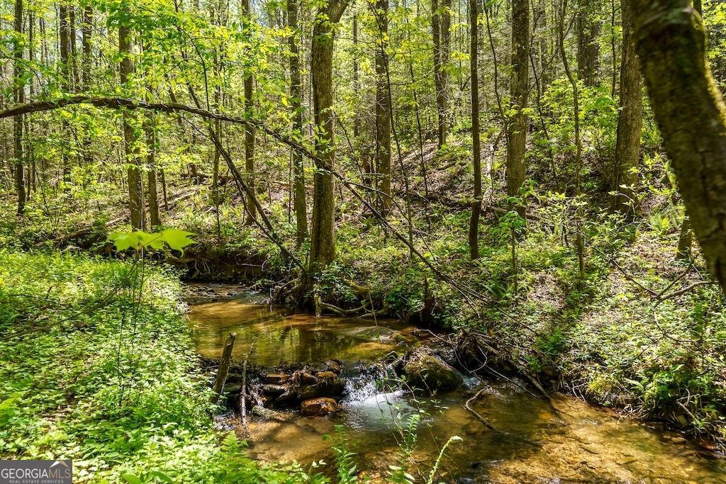 Photo of 0000 Burnt Mountain Road, Ellijay, GA 30536 (MLS # 10736953)