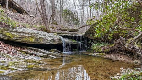 Photo of 0 Felton Rockmart Road, Buchanan, GA 30113 (MLS # 10723383)