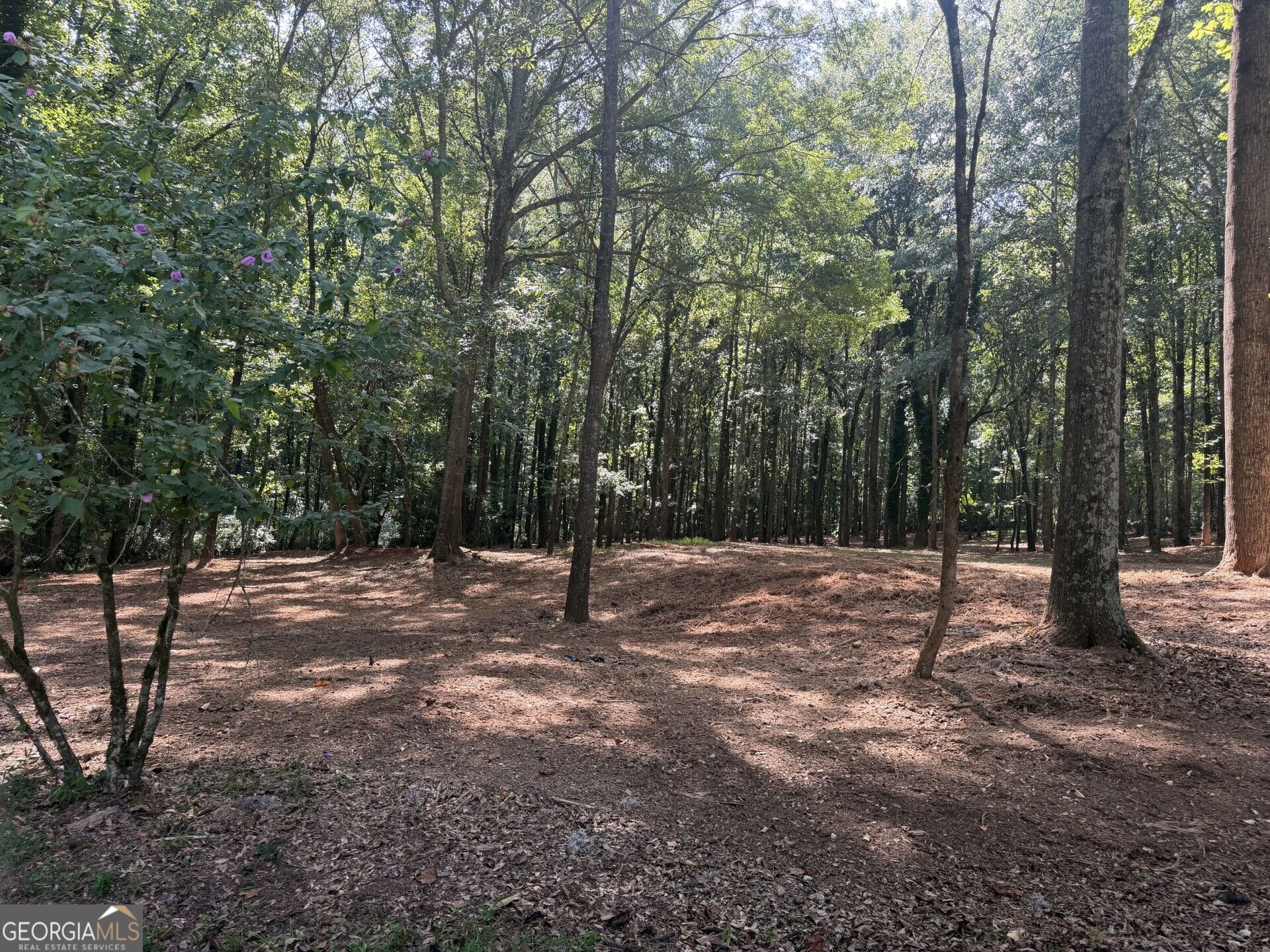 1310 Ivywood DR