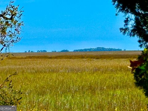 LOT 4 Mission DR Darien GA 31305